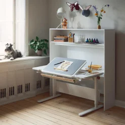 MOBY skrivebord, midter vip