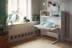 MOBY skrivebord, midter vip