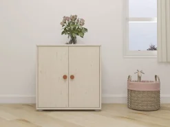 Skab