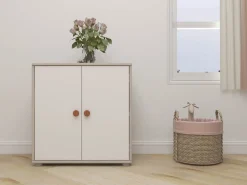 Skab